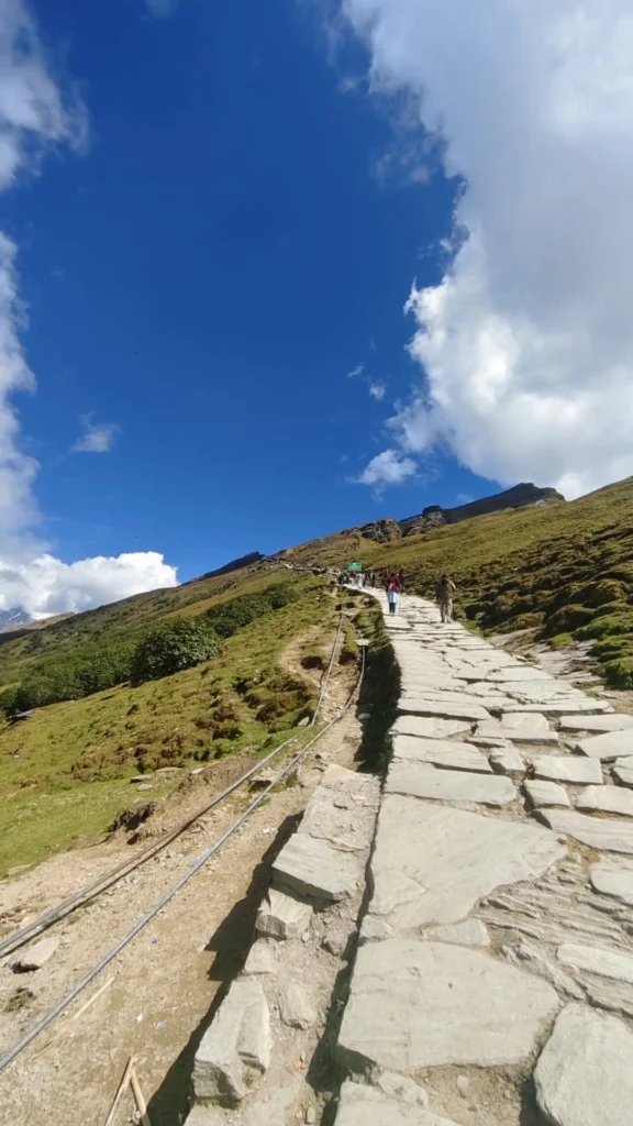 img 20251127 224457 362