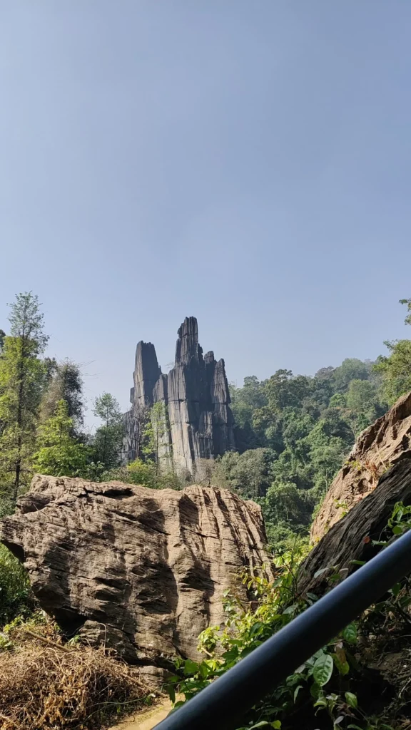 img 20260117 120402 046